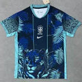 25-26 Brazil Blue Special Edition Training shirts