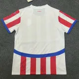 2026 World Cup Paraguay Home Player Version Soccer Jersey 1:1 Thai Quality